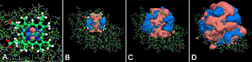 タンパク質分子の軌道の形