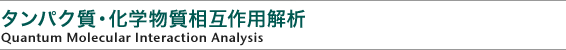 タンパク質-科学物質相互作用解析
Quantum Molecular Interaction Analysis