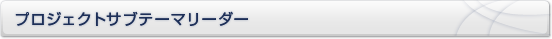 プロジェクトサブテーマリーダー
