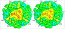 Bio, Nano Molecule Simulator