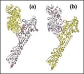 Bio Molecule Interaction Simulator