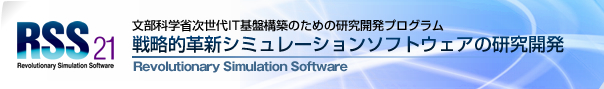 RSS21　戦略的革新ソフトウェアの開発