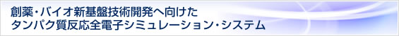 創薬・バイオ新基盤技術開発へ向けたタンパク質反応電子シミュレーション・システム