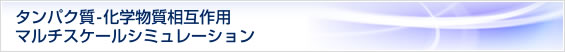 タンパク質・化学物質相互作用マルチスケールシミュレーション・システム