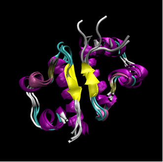 図 3　インスリン・アナログ、アスパルト。生体内ではタンパク質の構造は揺らいでおり、分子動力学法はそのような系の研究に有効である。