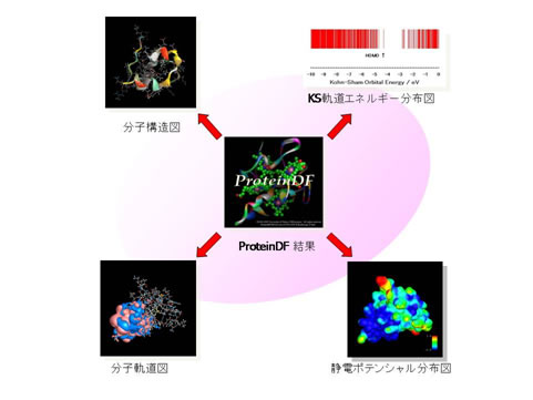 図 4　タンパク質全電子計算から得られる様々な物理量