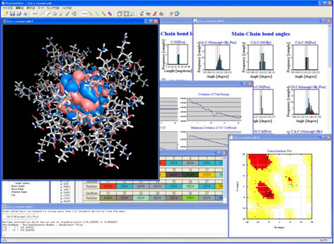 図 5　ProteinEditorのスナップショット