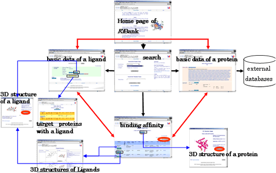 図 3　KiBankの検索サイトマップ